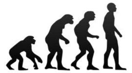 Timeline: evolution