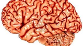 Timeline: Developmental Psychology