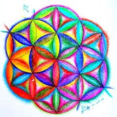 Timeline: Alejandro Mayorga