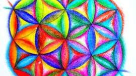 Timeline: Alejandro Mayorga