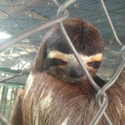 Timeline: History of Stradbroke Island