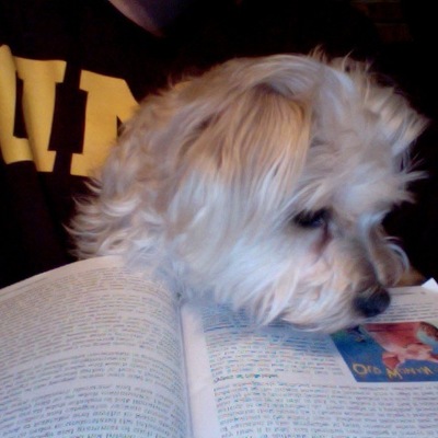 Timeline: My Schooling & Jobs