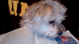 Timeline: My Schooling & Jobs