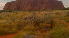 Timeline: Colonial Australia