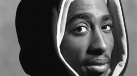 Timeline: Perfil profesional