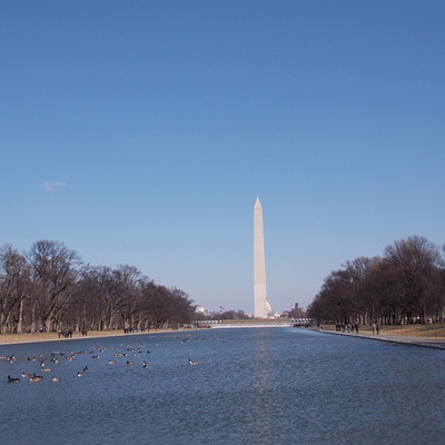 Timeline: 1954-1975 Timeline APUSH by - 1403738