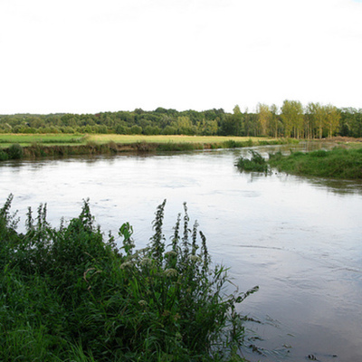 Timeline: Sint –Franciscus