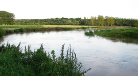 Timeline: Sint –Franciscus