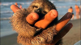 Timeline: Javinwifsyd