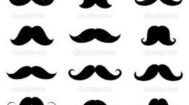 Timeline: Mustaches and Beards 1500-2013