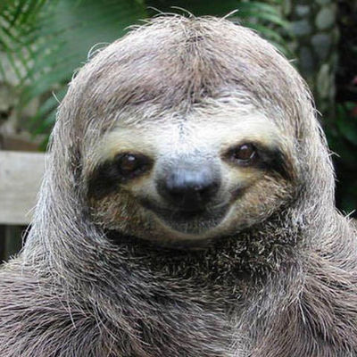 Timeline: crump juwan (sloth)