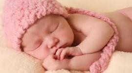 Timeline: biografia de sindy