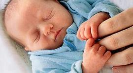 Timeline: Brayan villegas life