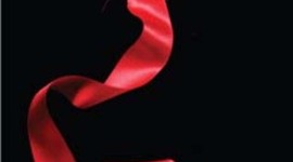 Timeline: Eclipse, Stephanie Meyer, Fiction, 629 pages