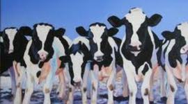 Timeline:  Knitting Machine Emma G.