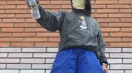 Timeline: biografia de : david lombana