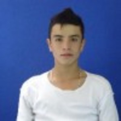 Timeline: Biografia de Diego robayo