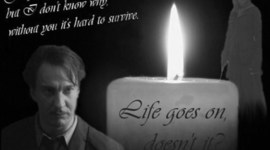 Timeline: Life goes on, doesn't it?