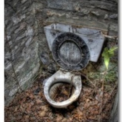 Timeline: goodge's toilets