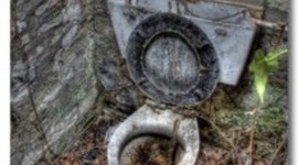 Timeline: goodge's toilets