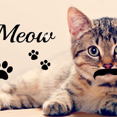 Timeline: This is me !