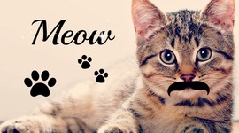 Timeline: This is me !