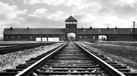 Timeline: The Holocaust