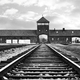Auschwitz