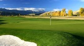 Timeline: CMSTYSL golf ball