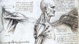 Timeline: CMS Kaia B.