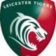 Tigers logo