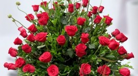 Timeline: LAS FLORES MÁS BELLAS DEL MUNDO