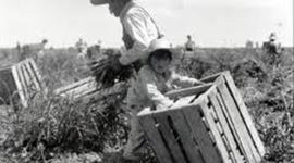 Timeline: Mexican-American Immigration