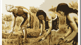 Timeline: Agricultura