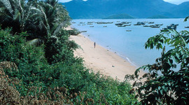 Timeline: 1945-1975 Timeline APUSH by Vortexnd