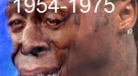 Timeline: 1954-1975 Timeline APUSH by brianisjustaboutthesameamountofkwonasyouare