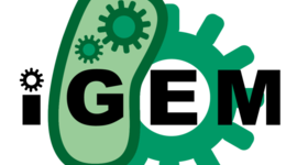 Timeline: SJ-iGEMers