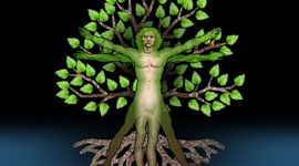 Timeline: Mod 7-8, HD--MS--LH--CK--DM