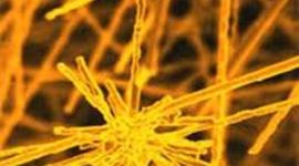 Timeline: Nuevos materiales y sus aplicaciones