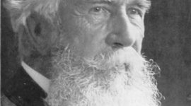 Timeline: Stephen Jay Gould/Ernst Haeckel