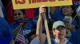 Timeline: Immigration GCU 113