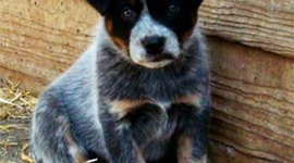 Timeline: my Graduate Portfolio