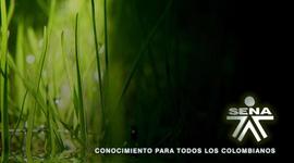 Timeline: etapas de mi vida