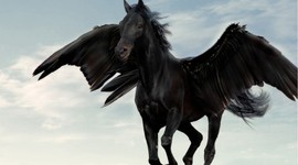 Timeline: Manifest Destiny Timeline