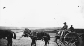 Timeline: Chinese Migration to Australia