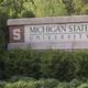 Msu