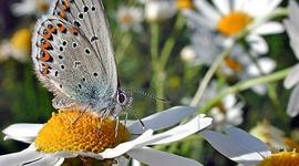 Timeline: Электронные таблицы