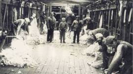 Timeline: Immigration to Argentina-Causes & Results-1870s-1914