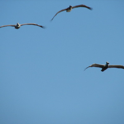 Timeline: Los hechos que afectaron MI VIDA!