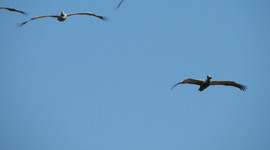 Timeline: Los hechos que afectaron MI VIDA!